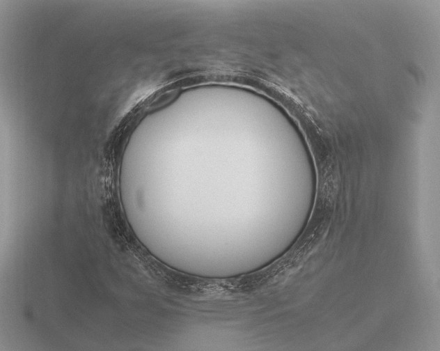 X0000116271255200912141321