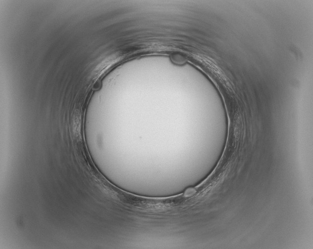 X0000116271273200912141320