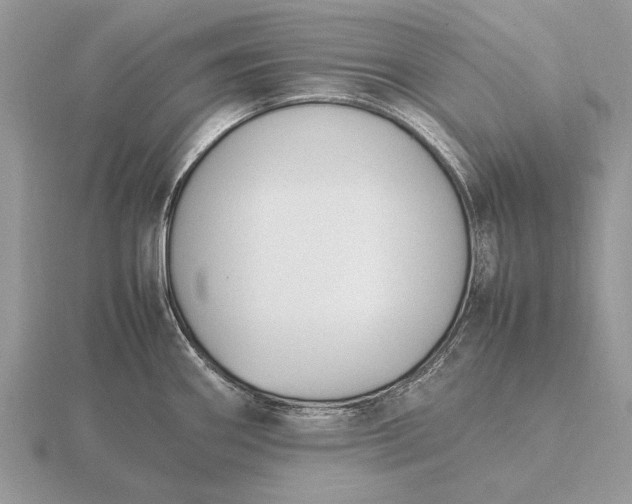 X0000116271290200912141320