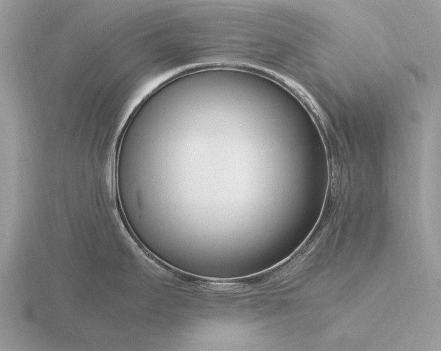 X0000116271295200912141320