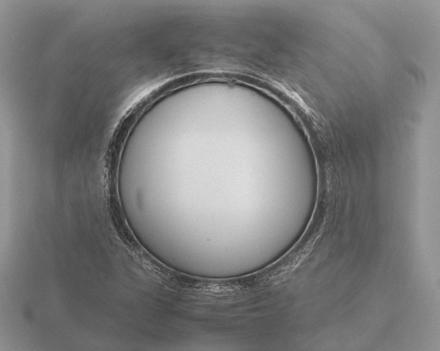 X0000116271311200912141320