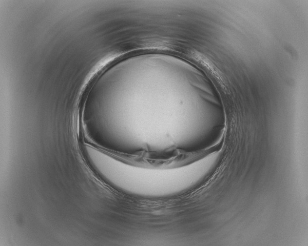 X0000116271323200912141320