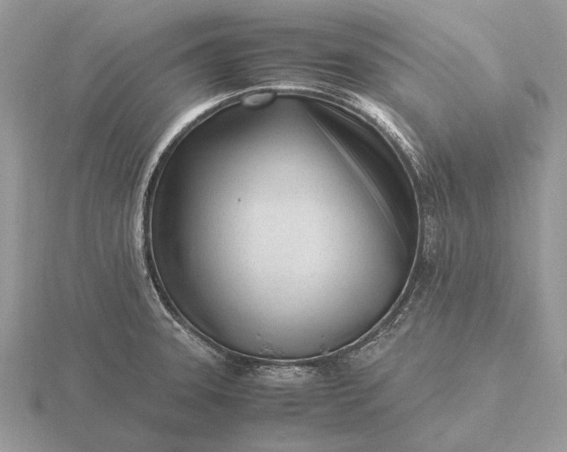 X0000116271331200912141320