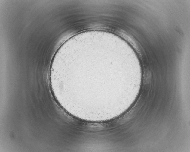 X0000116271338200912141320