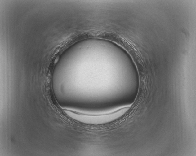 X0000116271349200912141319