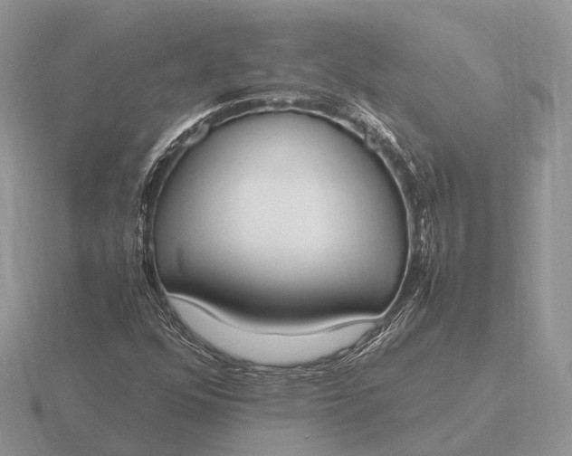 X0000116271352200912141319