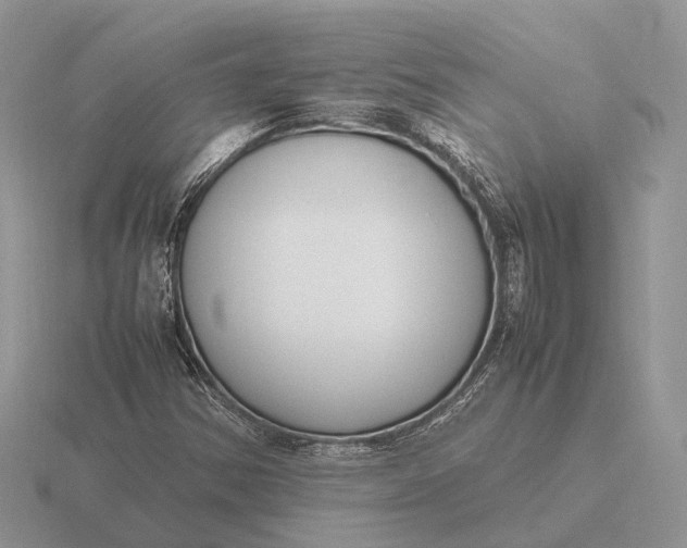 X0000116271354200912141319