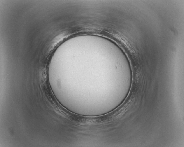 X0000116271355200912141319