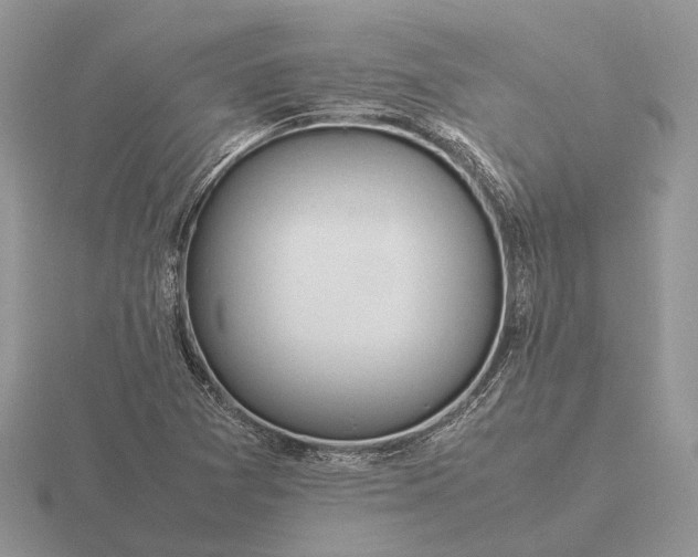 X0000116271361200912141319