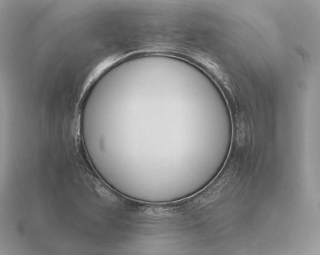 X0000116271366200912141319