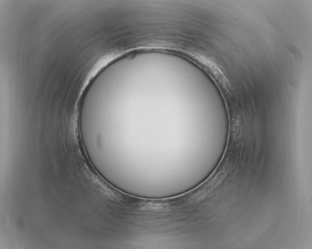 X0000116271374200912141319