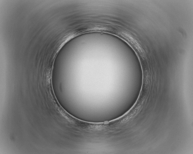 X0000116271377200912141319