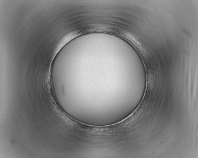 X0000116271378200912141319