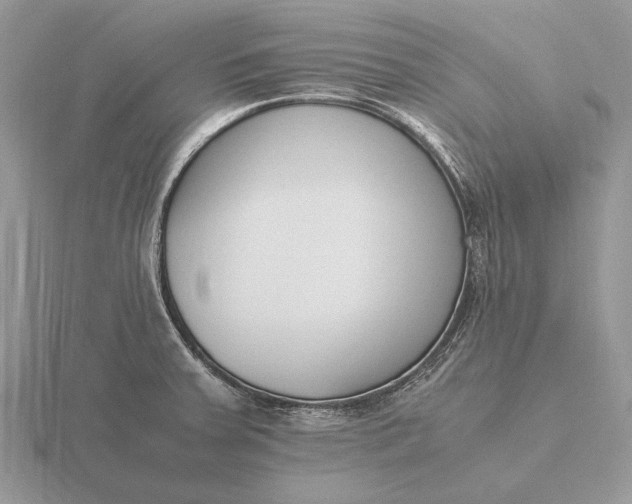 X0000116271379200912141319
