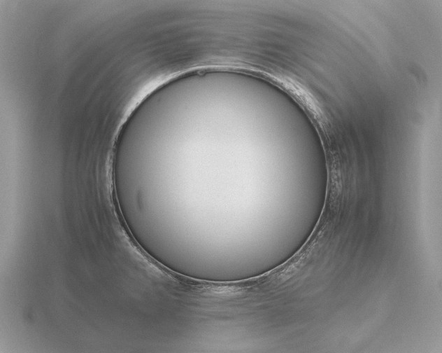 X0000116271382200912141319