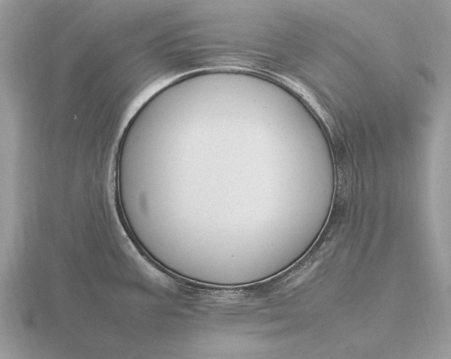 X0000116271387200912141319