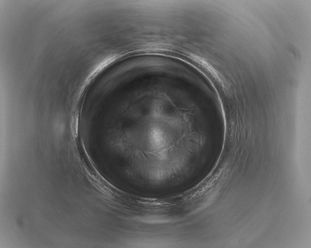 X0000116271413200912141318