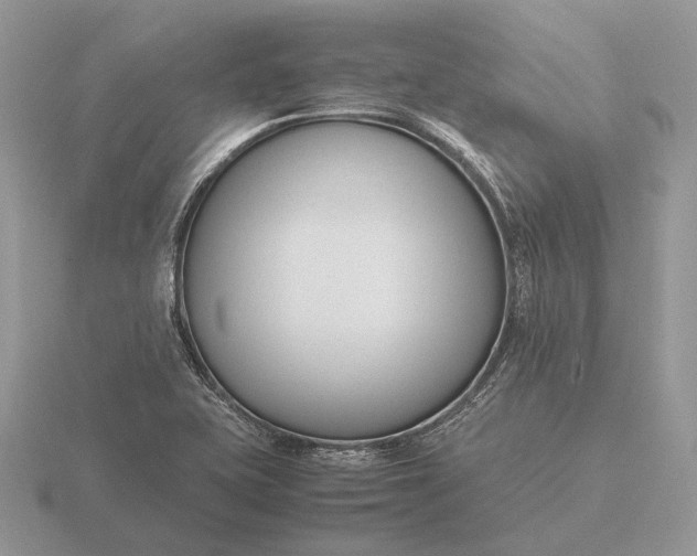 X0000116271415200912141319