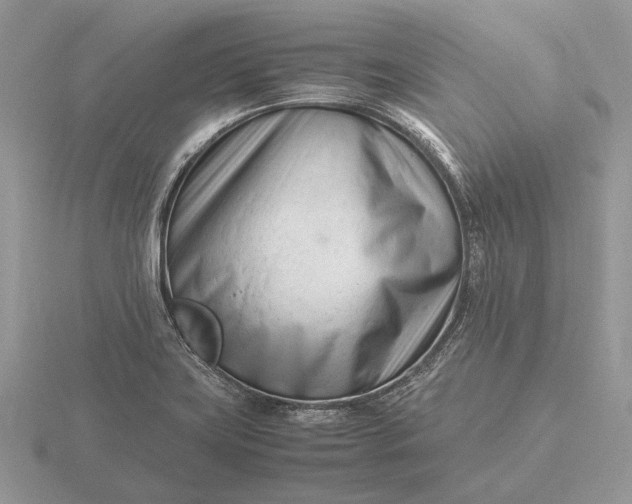 X0000116271419200912141319