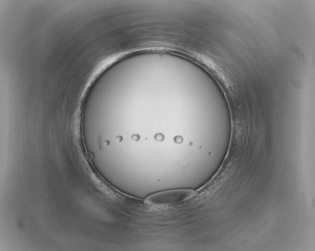 X0000116271421200912141319