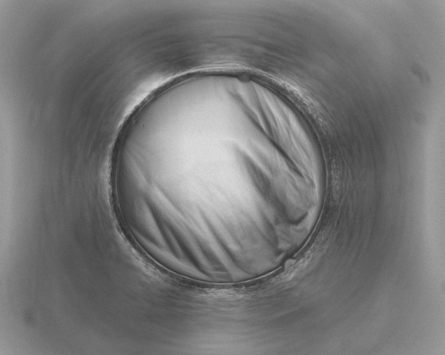 X0000116271422200912141319