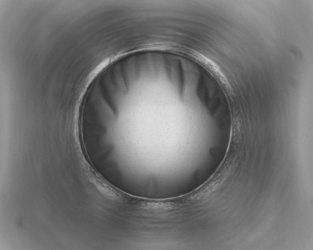 X0000116271427200912141319