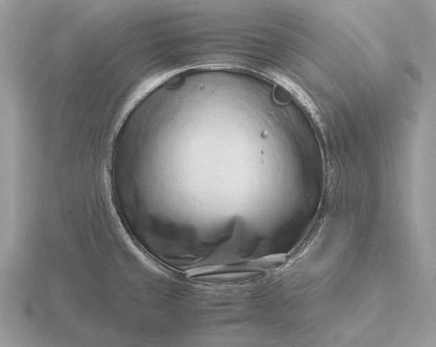 X0000116271429200912141319