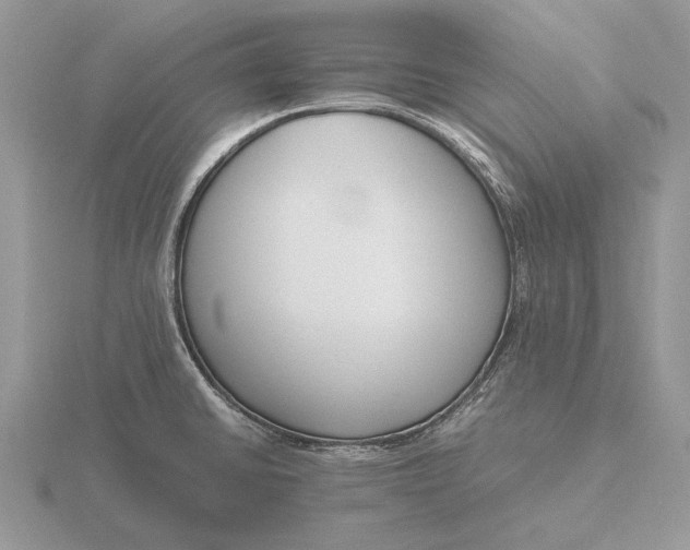 X0000116271430200912141319