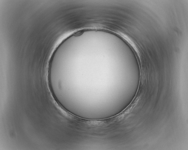 X0000116271437200912141319