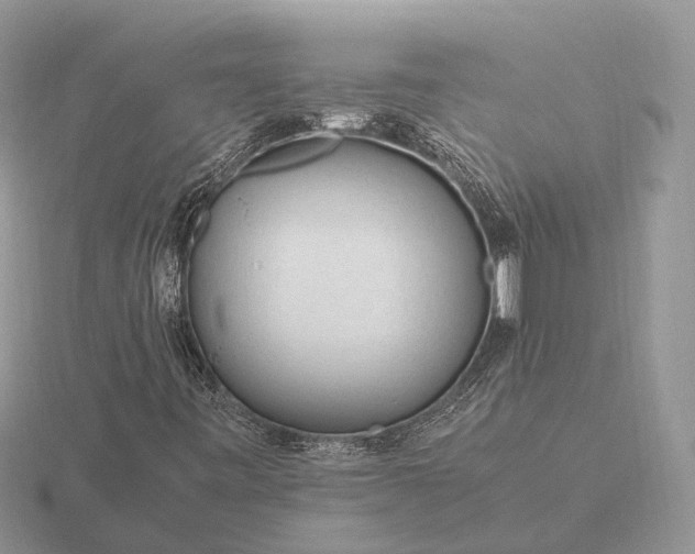 X0000116271443200912141318