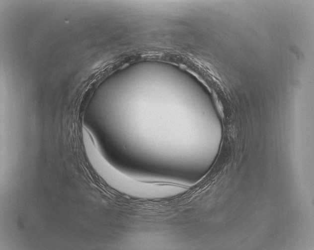 X0000116271445200912141318