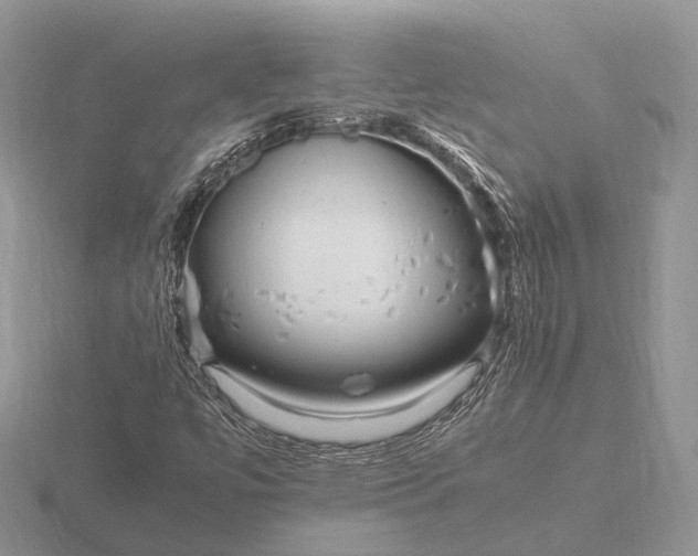 X0000116271447200912141318