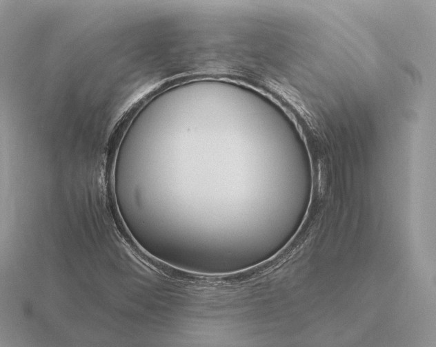 X0000116271452200912141318
