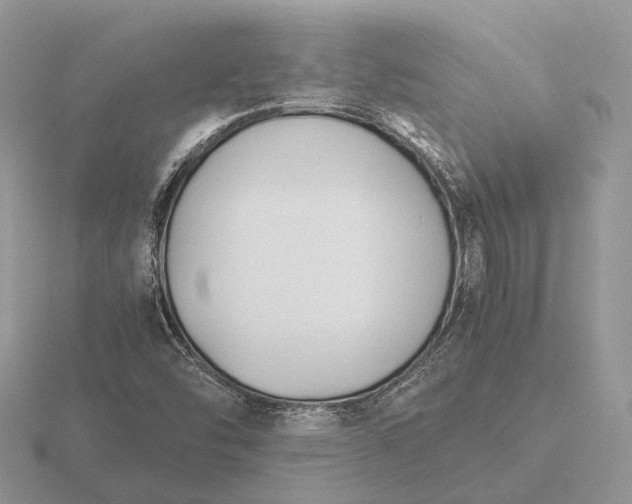X0000116271454200912141318