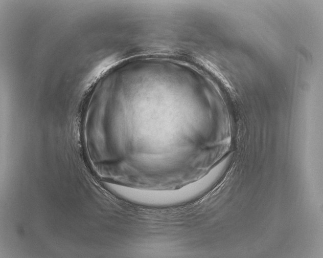 X0000116271455200912141318