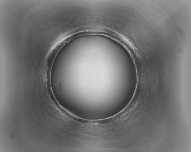 X0000116271456200912141318