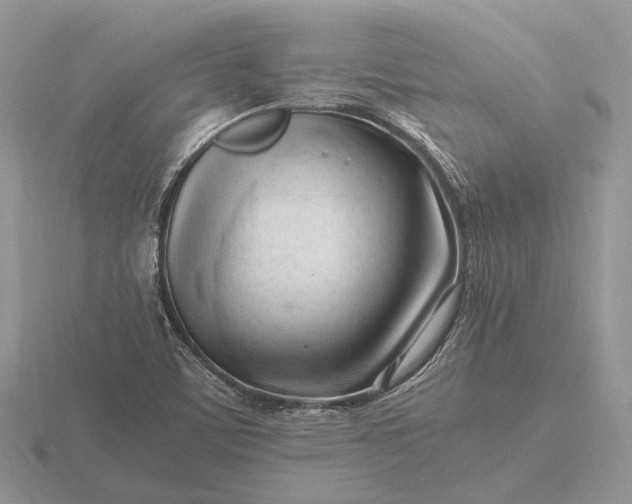 X0000116271459200912141318