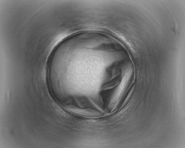 X0000116271463200912141318