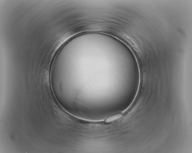 X0000116271465200912141318