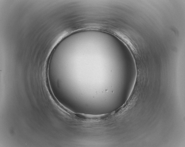 X0000116271475200912141318