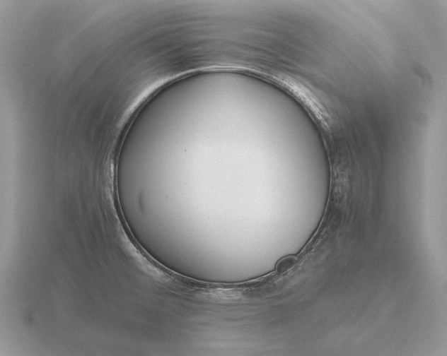 X0000116271476200912141318