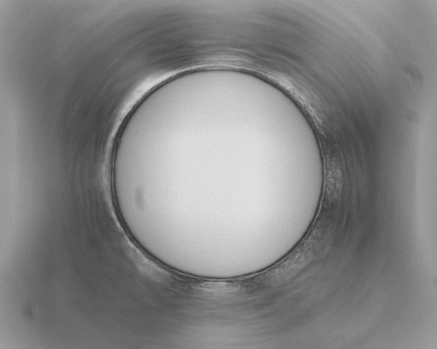 X0000116271478200912141318