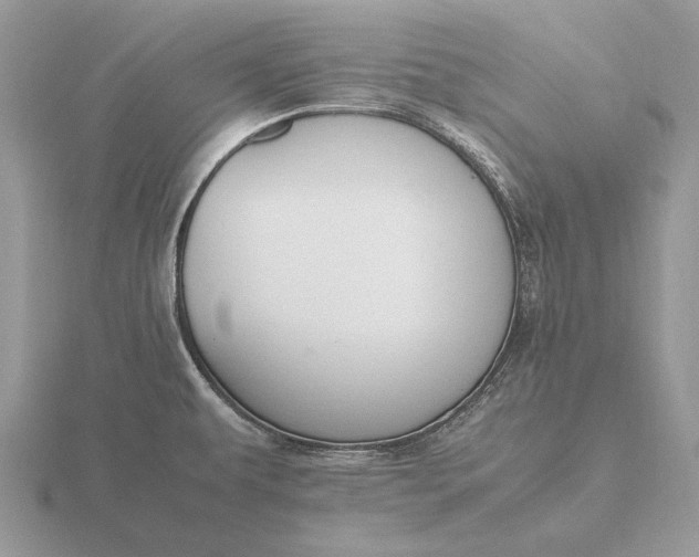 X0000116271479200912141318