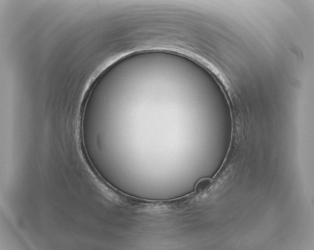 X0000116271525200912141317