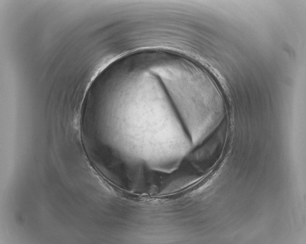 X0000116271529200912141318
