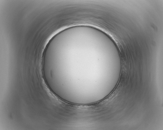 X0000116271534200912141318