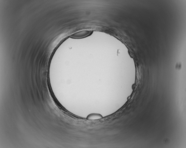 X0000116270003200912211808
