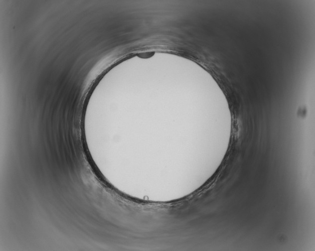 X0000116270004200912211808