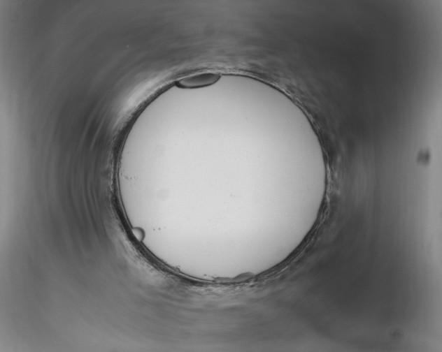 X0000116270005200912211808