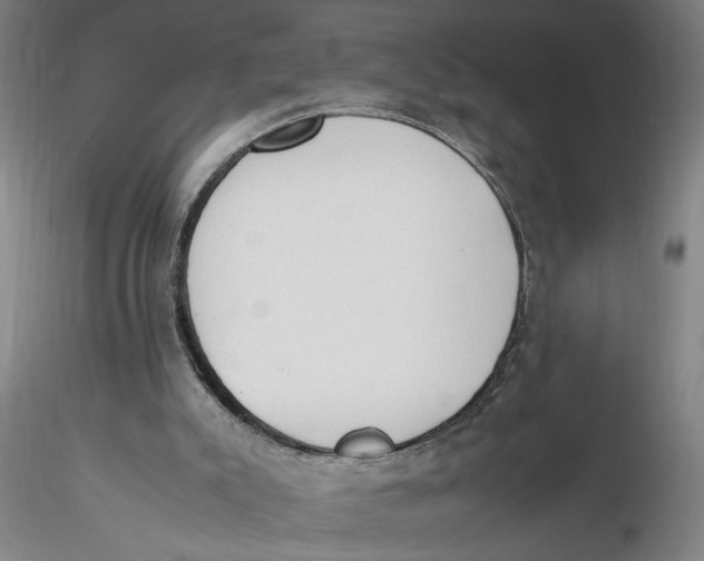 X0000116270007200912211808